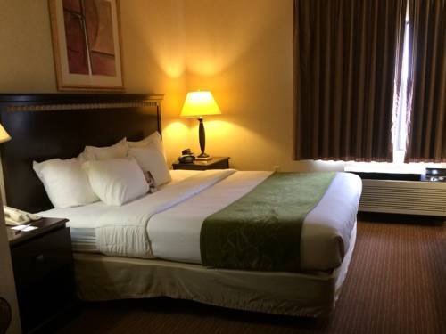 Imagen de la habitación del Hotel Comfort Suites Omaha East-council Bluffs. Foto 3