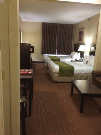 Imagen de la habitación del Hotel Comfort Suites Omaha East-council Bluffs. Foto 4