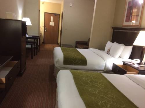 Imagen de la habitación del Hotel Comfort Suites Omaha East-council Bluffs. Foto 5