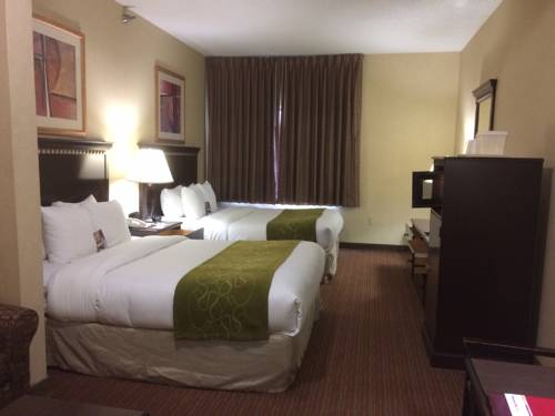 Imagen de la habitación del Hotel Comfort Suites Omaha East-council Bluffs. Foto 6