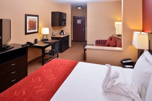 Imagen de la habitación del Hotel Comfort Suites Ontario Airport Convention Center. Foto 2