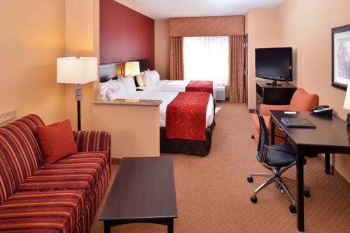 Imagen de la habitación del Hotel Comfort Suites Ontario Airport Convention Center. Foto 3