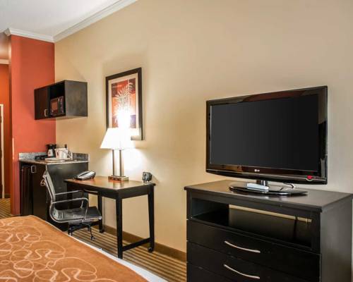 Imagen de la habitación del Hotel Comfort Suites - Panama City/tyndall. Foto 8