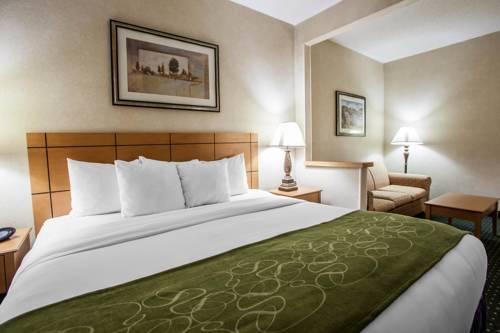 Imagen de la habitación del Hotel Comfort Suites Peoria I-74. Foto 4