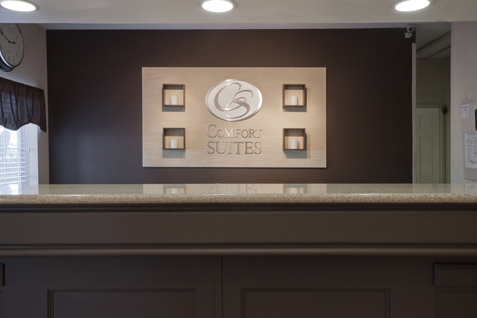 Imagen de los interiores del Hotel Comfort Suites Peoria Sports Complex. Foto 12