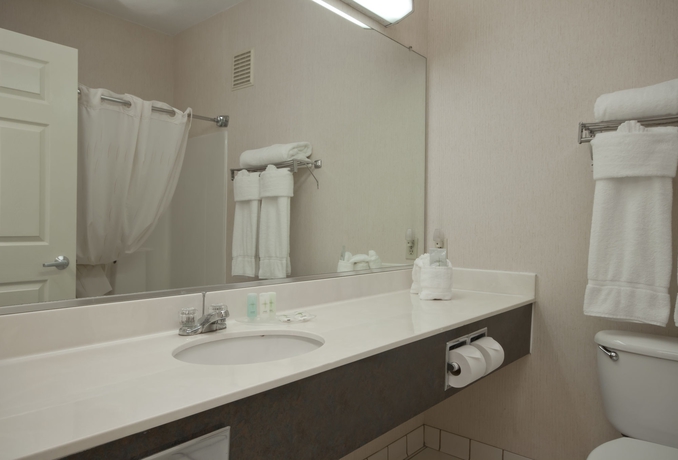 Imagen de la habitación del Hotel Comfort Suites Peoria Sports Complex. Foto 8