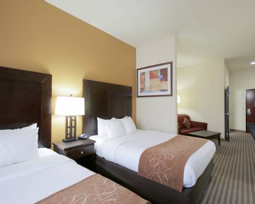 Imagen de la habitación del Hotel Comfort Suites Pflugerville - Austin North. Foto 8