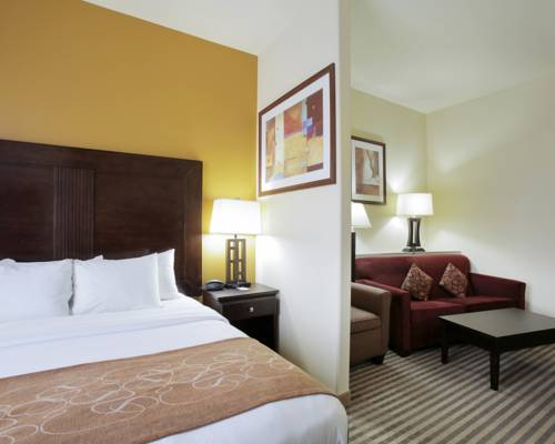 Imagen de la habitación del Hotel Comfort Suites Pflugerville - Austin North. Foto 9