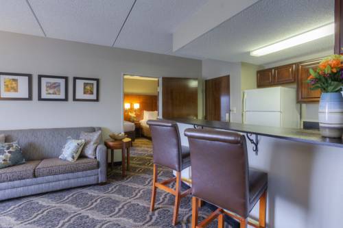 Imagen de la habitación del Hotel Comfort Suites Pineville. Foto 4