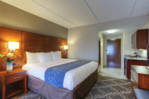 Imagen general del Hotel Comfort Suites Pineville. Foto 1