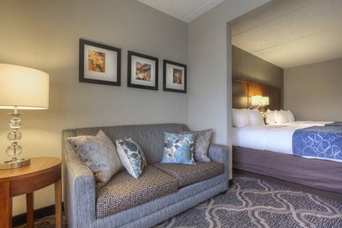 Imagen de la habitación del Hotel Comfort Suites Pineville. Foto 9