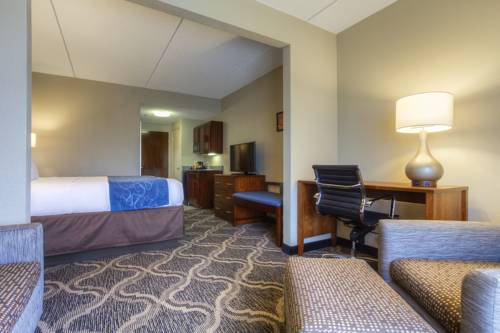 Imagen de la habitación del Hotel Comfort Suites Pineville. Foto 11