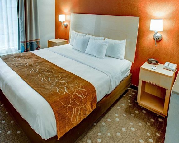 Imagen de la habitación del Hotel Comfort Suites Pittsburgh Airport. Foto 9