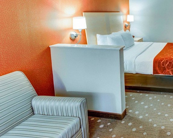 Imagen de la habitación del Hotel Comfort Suites Pittsburgh Airport. Foto 13