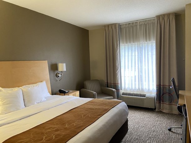 Imagen de la habitación del Hotel Comfort Suites Pittsburgh Airport. Foto 18