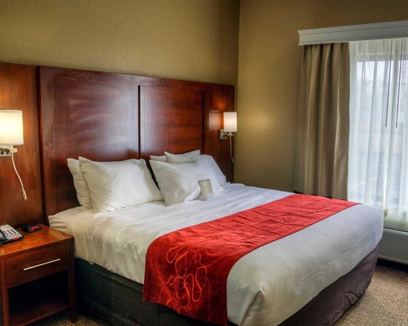 Imagen de la habitación del Hotel Comfort Suites Plymouth. Foto 8