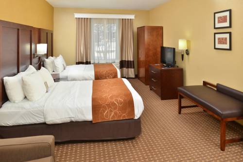 Imagen de la habitación del Hotel Comfort Suites Port Allen - Baton Rouge. Foto 4