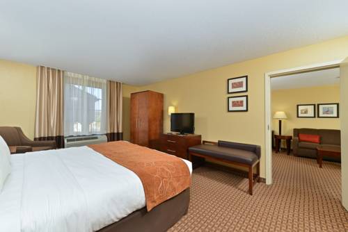 Imagen de la habitación del Hotel Comfort Suites Port Allen - Baton Rouge. Foto 6