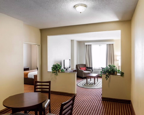 Imagen de la habitación del Hotel Comfort Suites Raleigh Walnut Creek. Foto 6