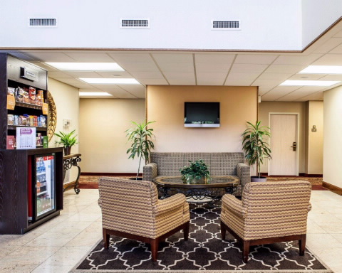 Imagen general del Hotel Comfort Suites Raleigh Walnut Creek. Foto 2