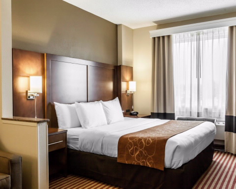 Imagen de la habitación del Hotel Comfort Suites Raleigh Walnut Creek. Foto 7