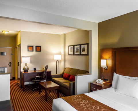 Imagen de la habitación del Hotel Comfort Suites Raleigh Walnut Creek. Foto 8