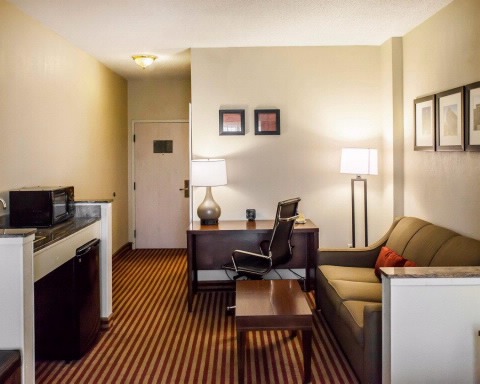 Imagen de la habitación del Hotel Comfort Suites Raleigh Walnut Creek. Foto 9