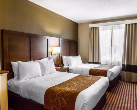 Imagen de la habitación del Hotel Comfort Suites Raleigh Walnut Creek. Foto 10