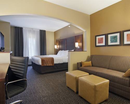 Imagen de la habitación del Hotel Comfort Suites, Ramsey. Foto 8