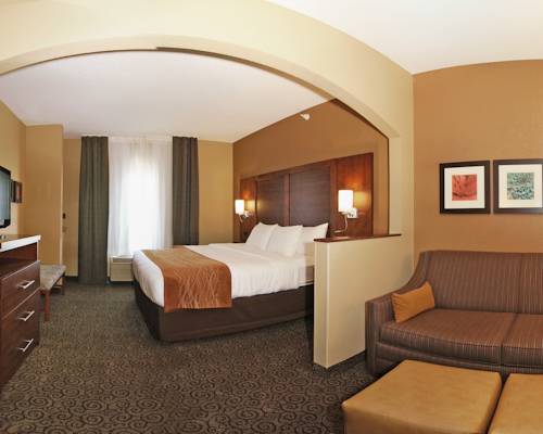 Imagen de la habitación del Hotel Comfort Suites, Ramsey. Foto 13