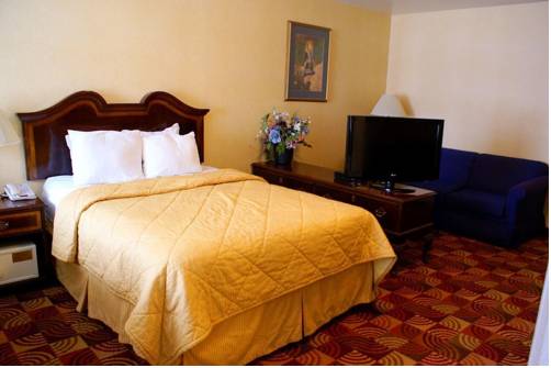 Imagen de la habitación del Hotel Comfort Suites Red Bluff Near I-5. Foto 8