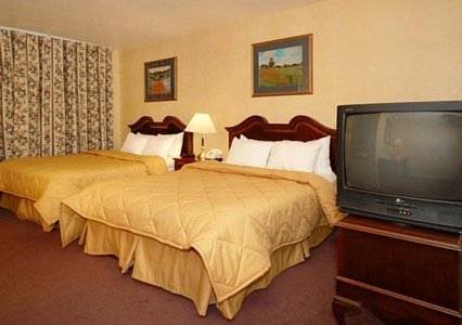 Imagen de la habitación del Hotel Comfort Suites Red Bluff Near I-5. Foto 10