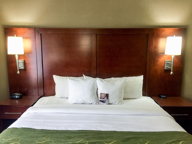 Imagen de la habitación del Hotel Comfort Suites Regency Park. Foto 3