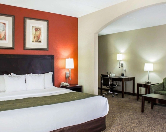 Imagen de la habitación del Hotel Comfort Suites Regency Park. Foto 4