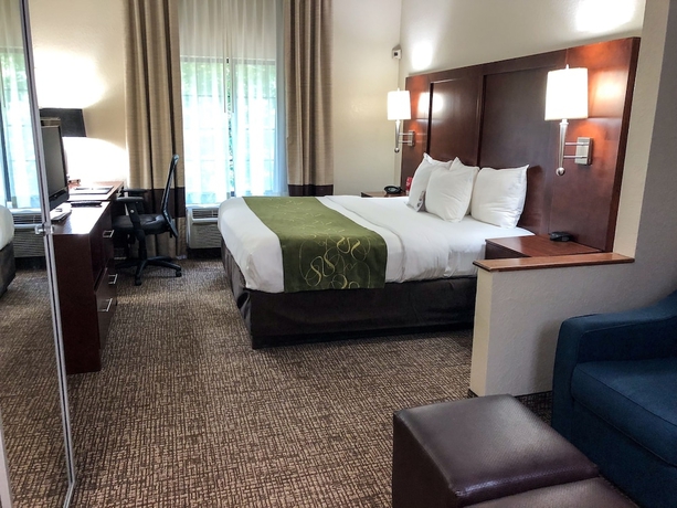 Imagen de la habitación del Hotel Comfort Suites Regency Park. Foto 6