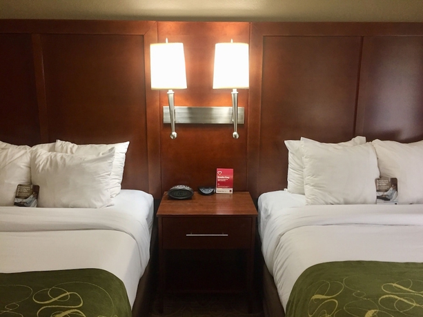 Imagen de la habitación del Hotel Comfort Suites Regency Park. Foto 9