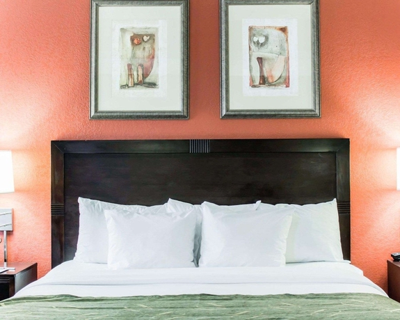 Imagen de la habitación del Hotel Comfort Suites Regency Park. Foto 10