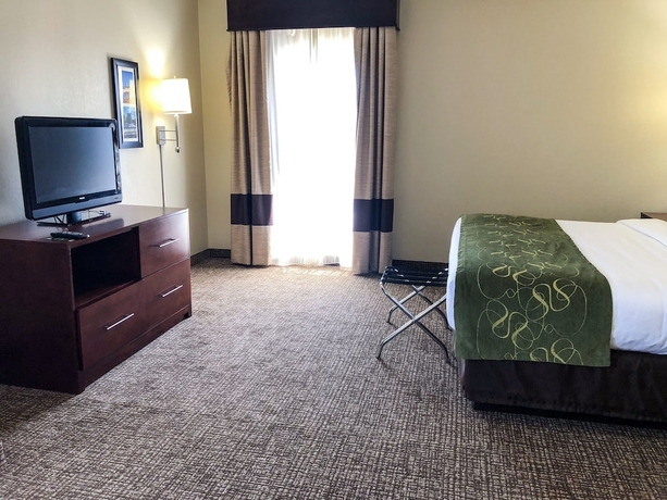 Imagen de la habitación del Hotel Comfort Suites Regency Park. Foto 12