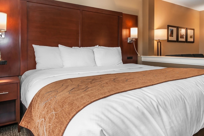Imagen de la habitación del Hotel Comfort Suites Rensselaer Near Fair Oaks. Foto 3
