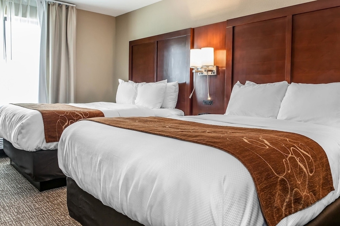 Imagen de la habitación del Hotel Comfort Suites Rensselaer Near Fair Oaks. Foto 4