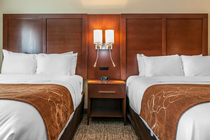 Imagen de la habitación del Hotel Comfort Suites Rensselaer Near Fair Oaks. Foto 15