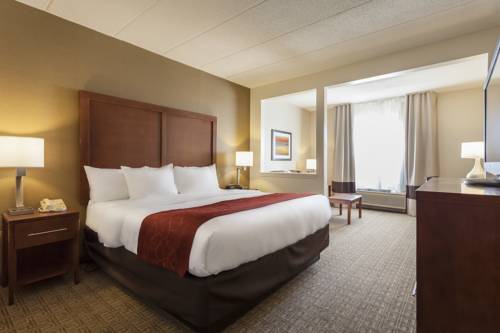 Imagen de la habitación del Hotel Comfort Suites Richmond. Foto 5