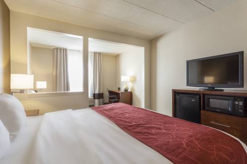 Imagen de la habitación del Hotel Comfort Suites Richmond. Foto 9