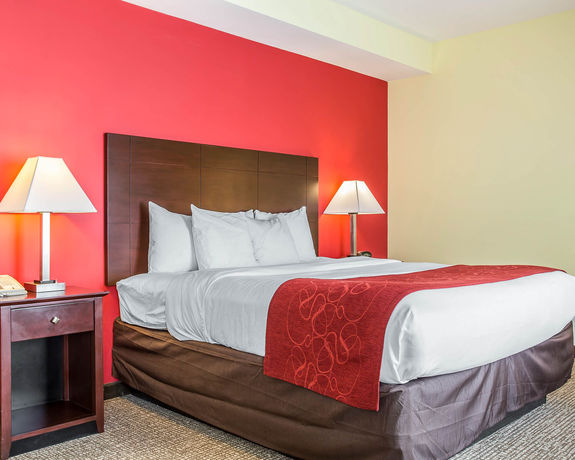 Imagen de la habitación del Hotel Comfort Suites Rock Hill Manchester Meadows Area. Foto 6
