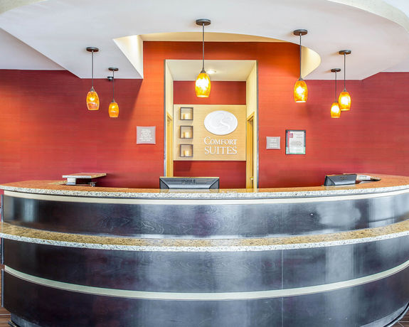 Imagen de los interiores del Hotel Comfort Suites Rock Hill Manchester Meadows Area. Foto 10