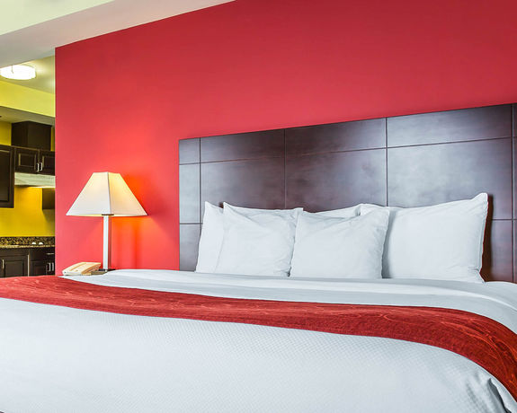 Imagen de la habitación del Hotel Comfort Suites Rock Hill Manchester Meadows Area. Foto 9