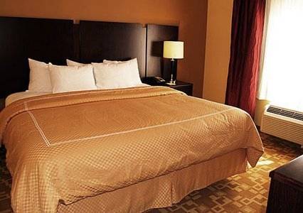 Imagen de la habitación del Hotel Comfort Suites Rome. Foto 4
