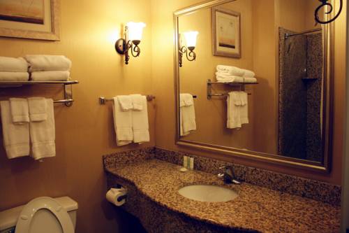 Imagen de la habitación del Hotel Comfort Suites Rome. Foto 8