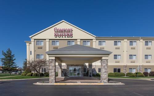 Imagen de la habitación del Hotel Comfort Suites Saginaw. Foto 2