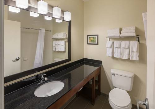 Imagen de la habitación del Hotel Comfort Suites Saginaw. Foto 3